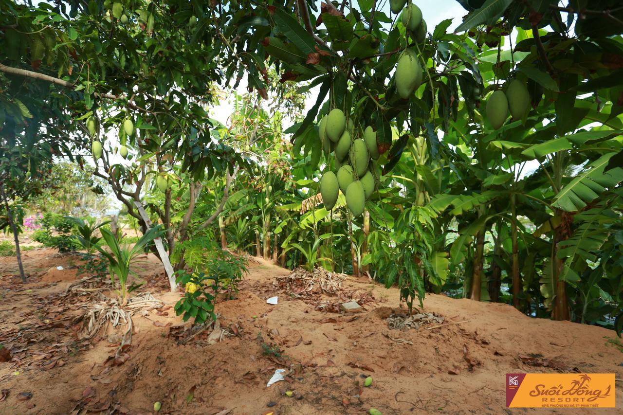 Suoi Hong Resort Mui Ne Esterno foto