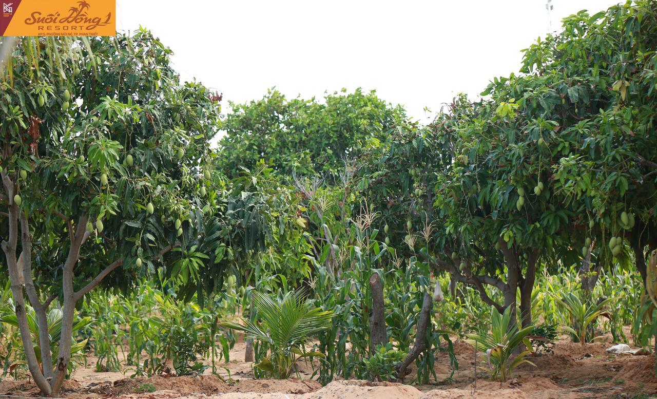 Suoi Hong Resort Mui Ne Esterno foto